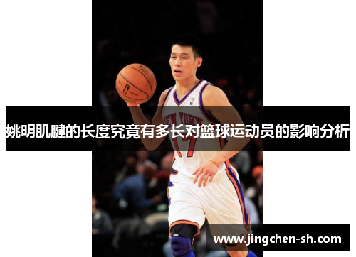 姚明肌腱的长度究竟有多长对篮球运动员的影响分析