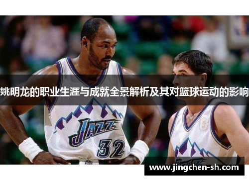 姚明龙的职业生涯与成就全景解析及其对篮球运动的影响