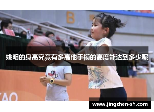 姚明的身高究竟有多高他手摸的高度能达到多少呢